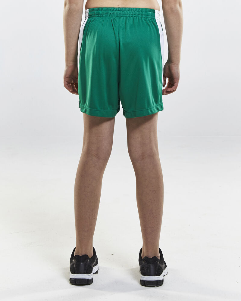 1905587_1651_PROGRESS-Short-Contrast_C2