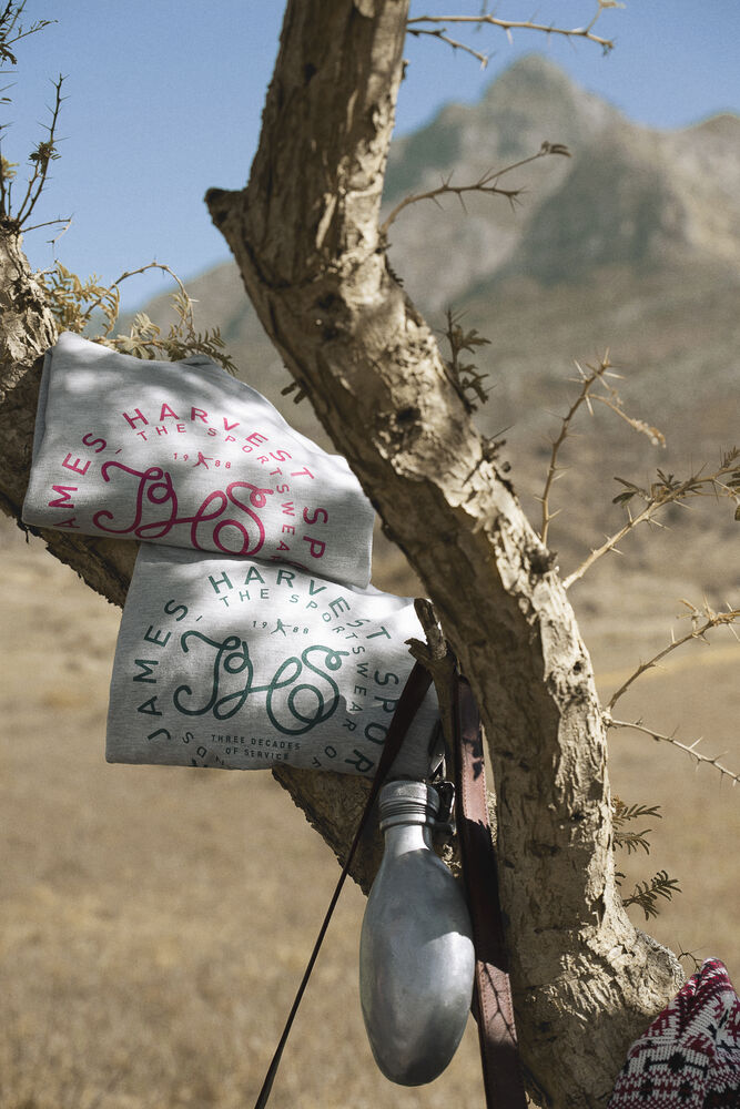 2132022_Cornell_detail_IMG19