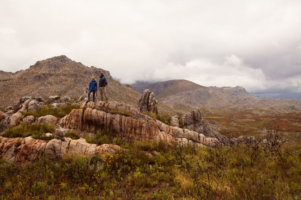 2261065_202261066_PRIME_IMG21