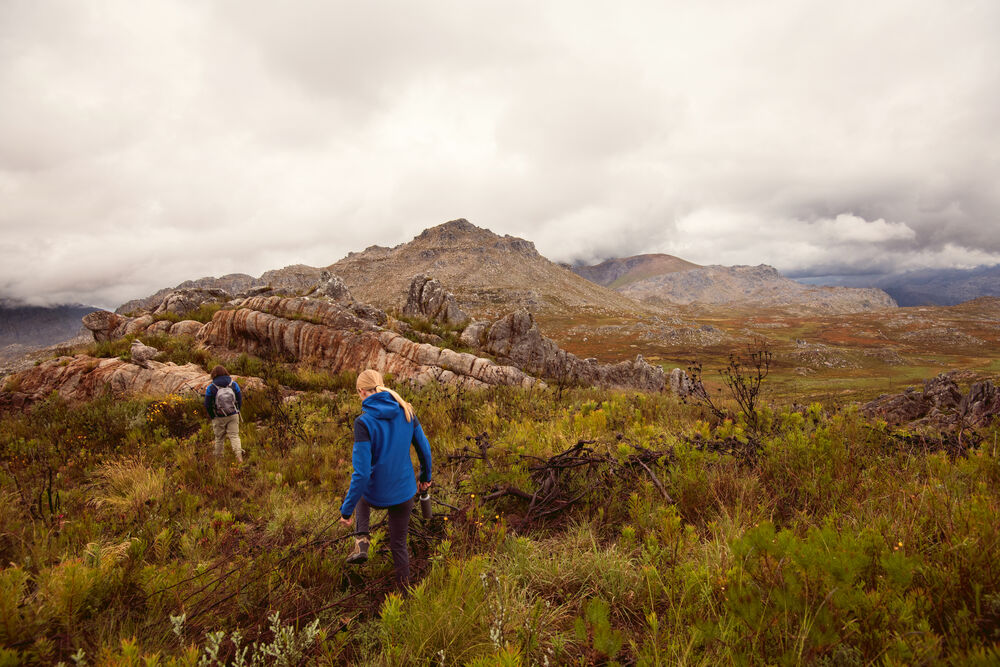 2261066_202261065_PRIME_IMG21