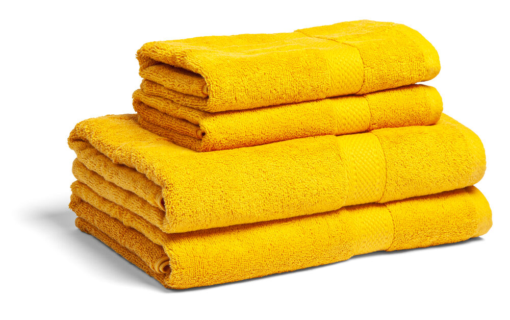 Variation picture for Lion Variation picture for Lion