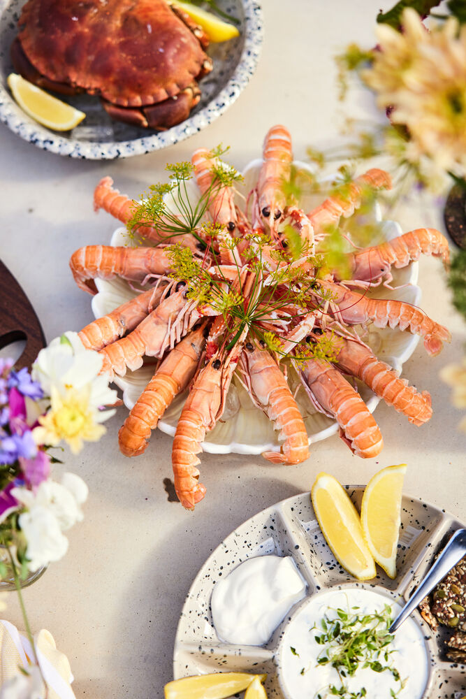 5018389_5018330_5018329_1