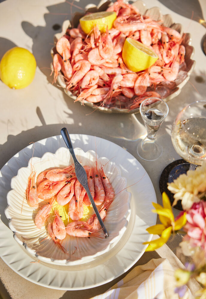 5018406_5018146_5018388_5018391_1