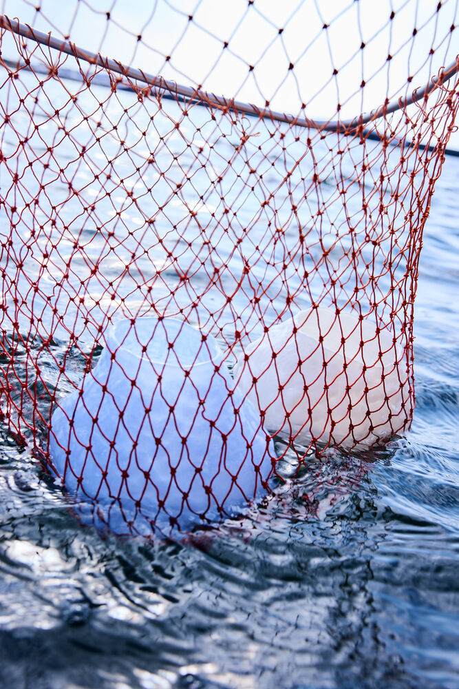 5280608202_5280607612_2_ss26