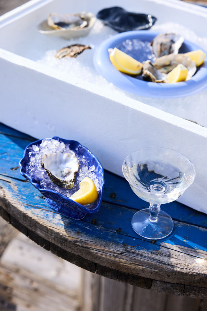 5281603600_5228660833_1_ss26