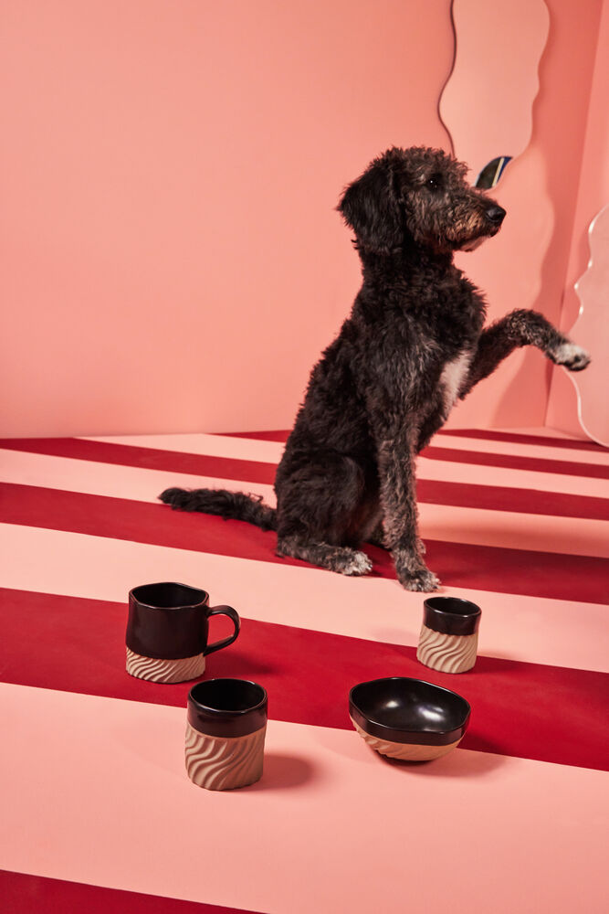 5283907701_5283908501_5283908601_5299001600_1