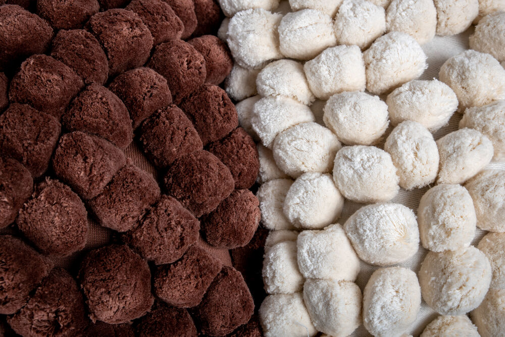 5284501904_5284501902