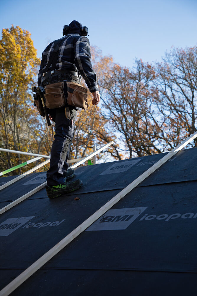 645560_645212_645213