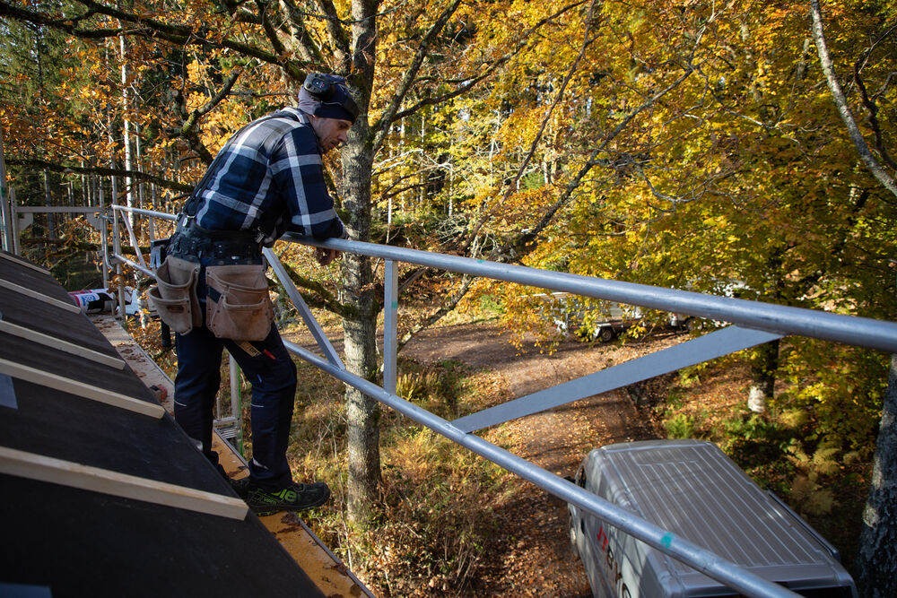 645560_645212_645513