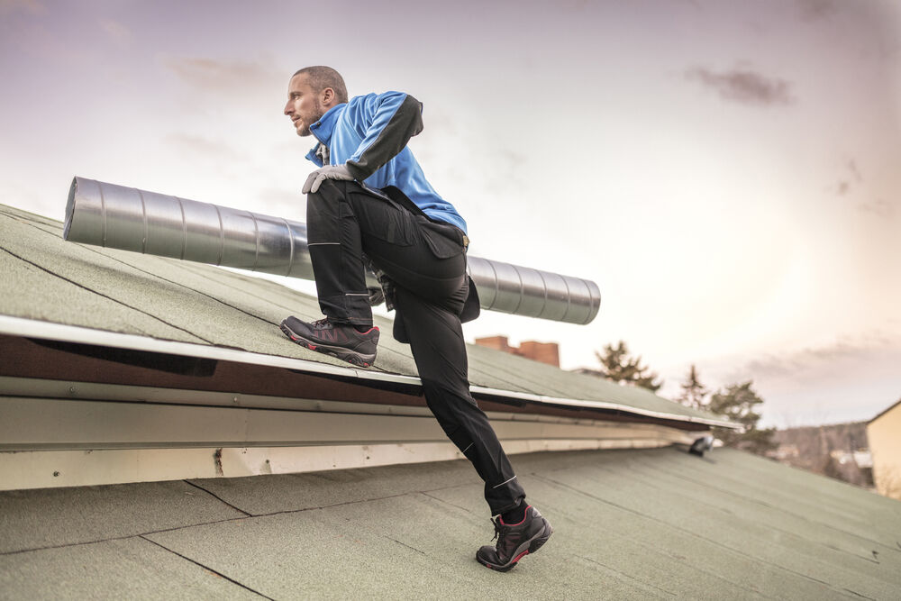 Variation picture for Black Variation picture for Black