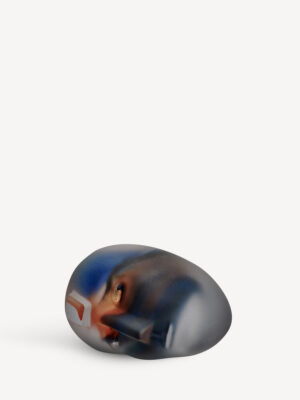 Brains Inside Matters